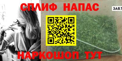 прущие грибы Будённовск