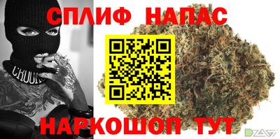 прущие грибы Будённовск