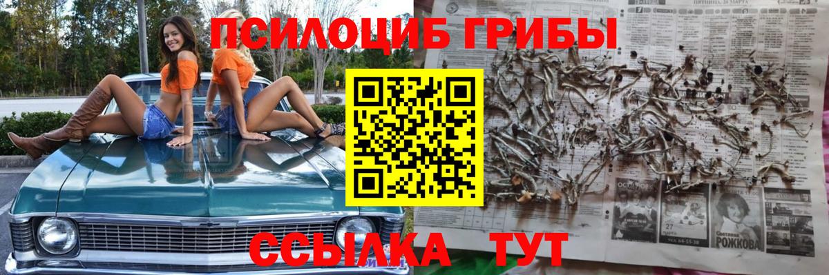 Псилоцибиновые грибы мухоморы  Вход с VPN  Бугульма 